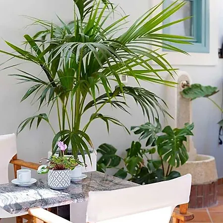 999 Luxury Hotel Nauplia